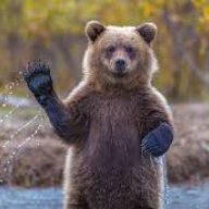 Fernleigh bear
